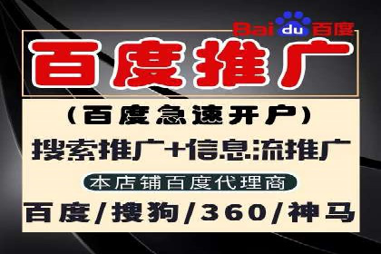 竞价广告端口开户的典型案例剖析